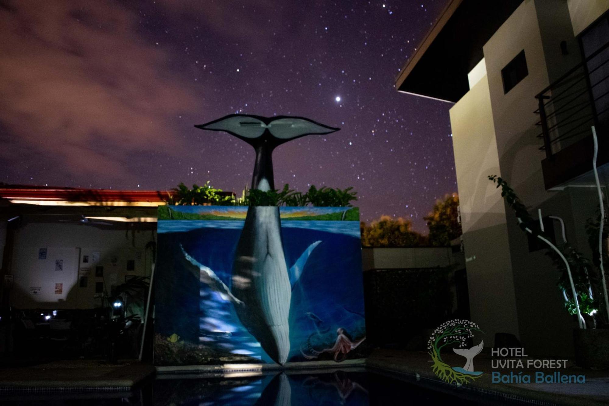 Hotel Uvita Forest Eksteriør bilde